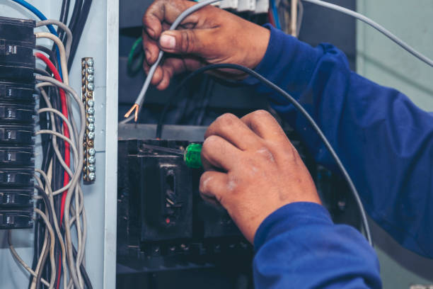 Best Electric Panel Repair  in Nixon, TX